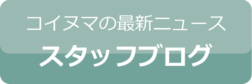 コイヌマの最新ニュース　スタッフブログ