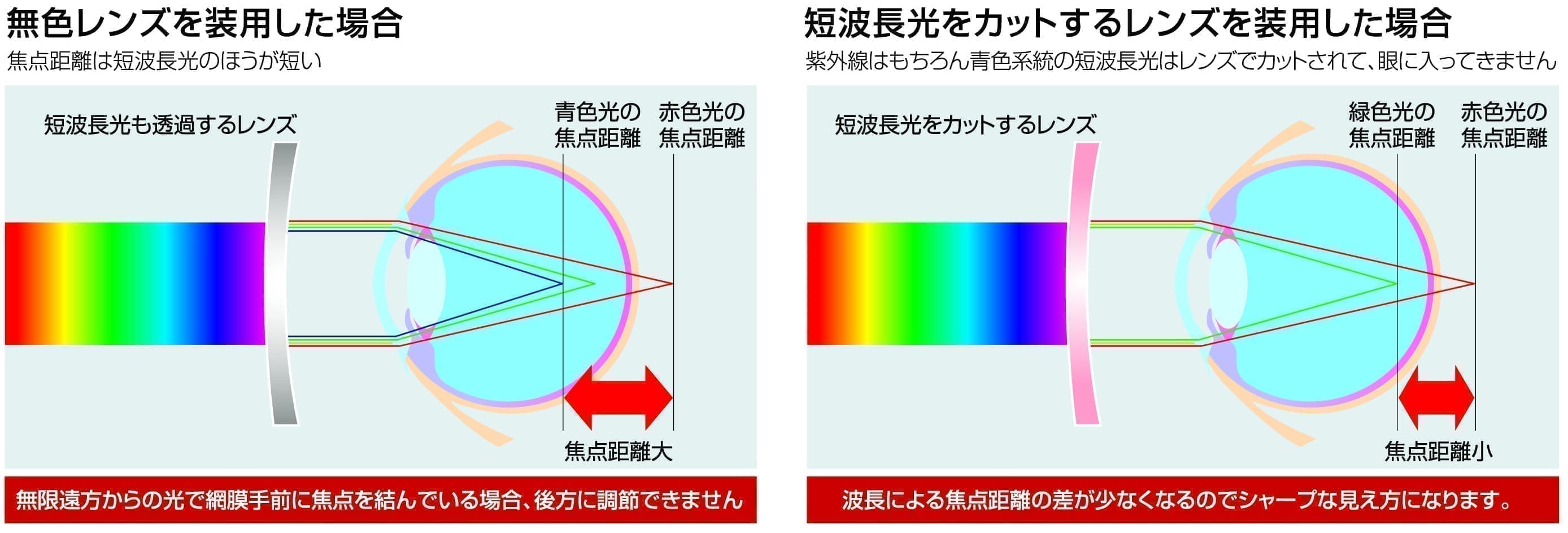 短波長光をカットするレンズを装用した場合